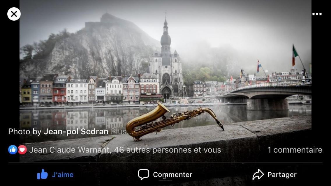 Les Voisins De Mr Sax Hotell Dinant Eksteriør bilde